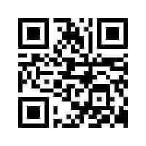 Black and white qr code with a complex pattern of squares for scanning.
